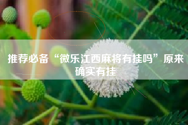 推荐必备“微乐江西麻将有挂吗”原来确实有挂
