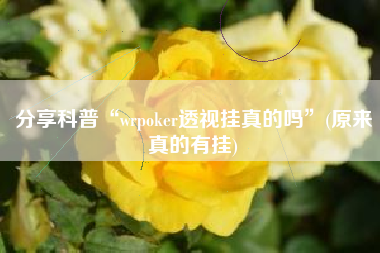 分享科普“wrpoker透视挂真的吗”(原来真的有挂)