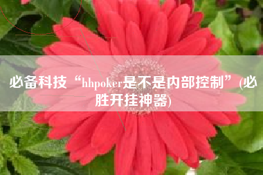 必备科技“hhpoker是不是内部控制”(必胜开挂神器)