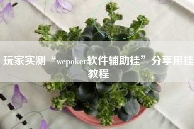 玩家实测“wepoker软件辅助挂”分享用挂教程