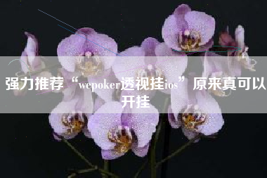 强力推荐“wepoker透视挂ios”原来真可以开挂