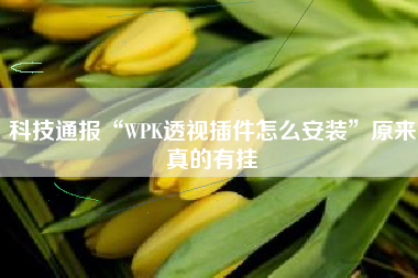 科技通报“WPK透视插件怎么安装	”原来真的有挂