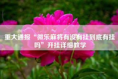 重大通报“微乐麻将有没有挂到底有挂吗”开挂详细教学