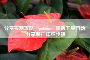 分享实测攻略“pokemmo辅助工具自动”分享装挂详细步骤