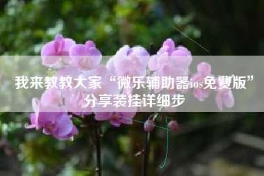 我来教教大家“微乐辅助器ios免费版”分享装挂详细步