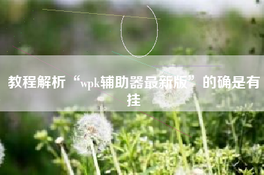 教程解析“wpk辅助器最新版	”的确是有挂