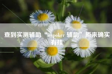 查到实测辅助“wepoker 辅助	”原来确实有挂