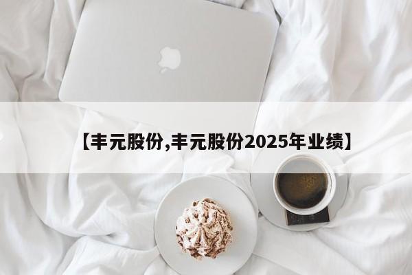 【丰元股份,丰元股份2025年业绩】
