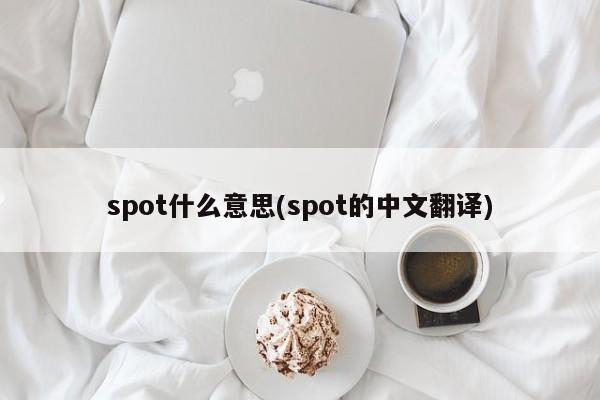 spot什么意思(spot的中文翻译)