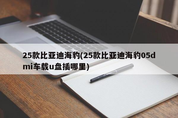 25款比亚迪海豹(25款比亚迪海豹05dmi车载u盘插哪里)