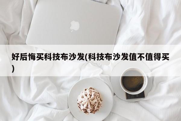 好后悔买科技布沙发(科技布沙发值不值得买)