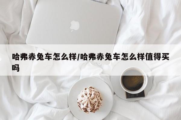哈弗赤兔车怎么样/哈弗赤兔车怎么样值得买吗