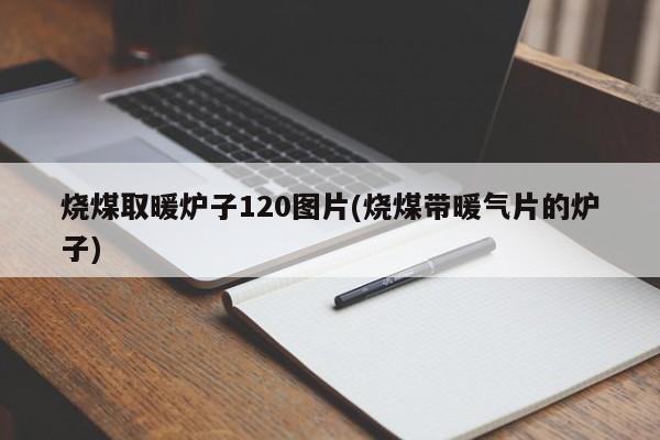 烧煤取暖炉子120图片(烧煤带暖气片的炉子)