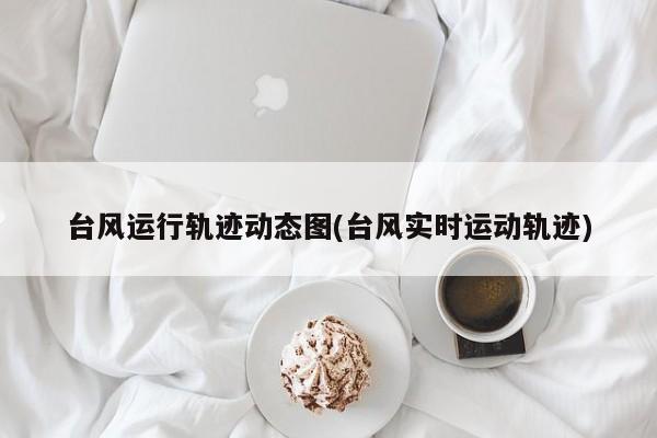 台风运行轨迹动态图(台风实时运动轨迹)