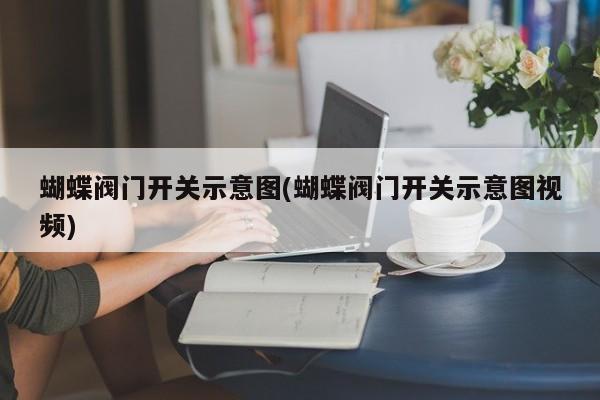 蝴蝶阀门开关示意图(蝴蝶阀门开关示意图视频)